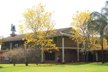 Harare International School